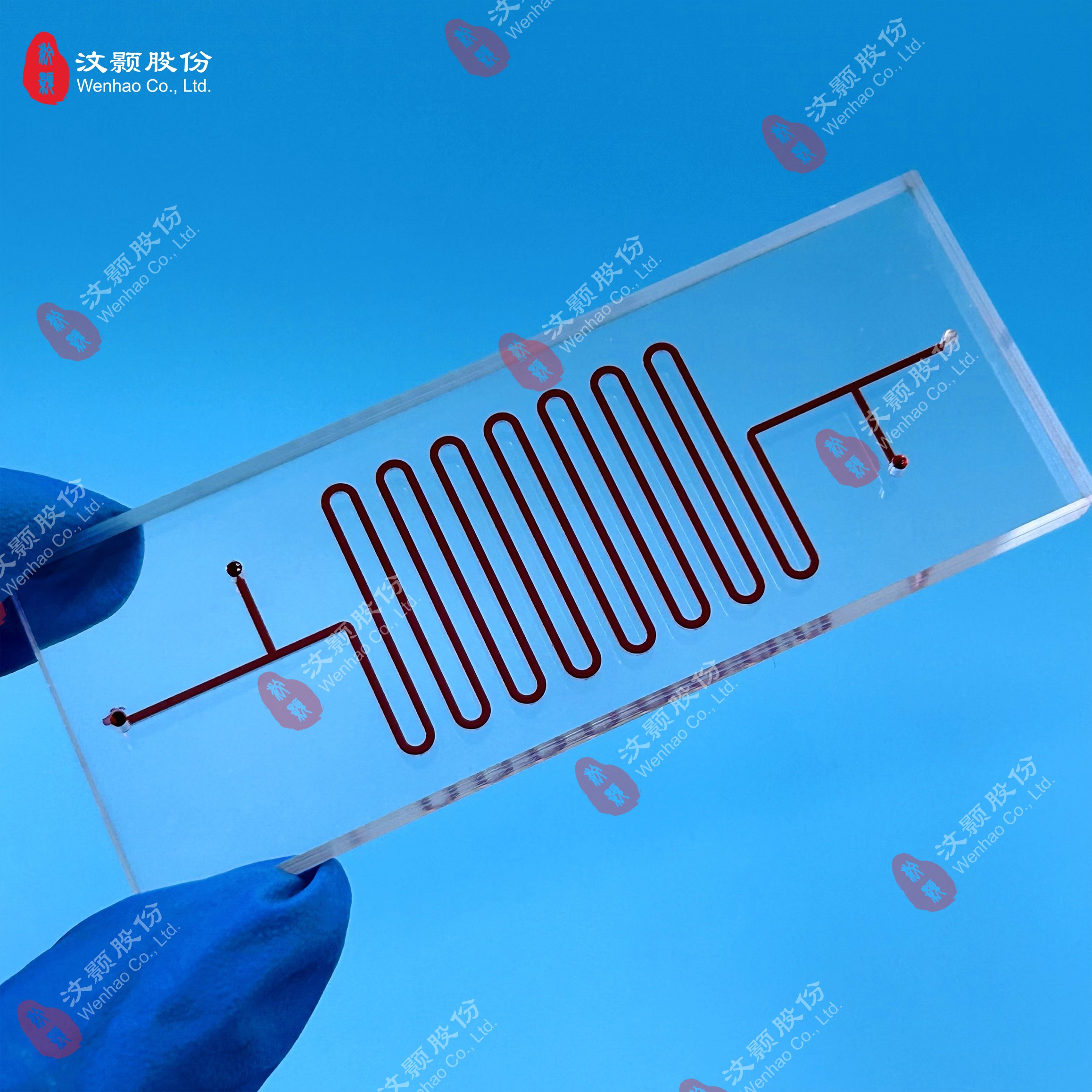 1735263352795454.jpg 1735263352795454.jpg