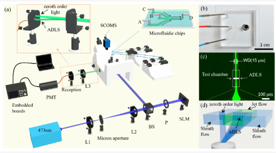 1738982815497186.png 图片2.png