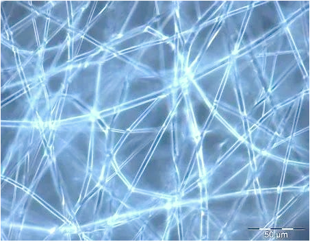 1747623528428341.png 图片1.png