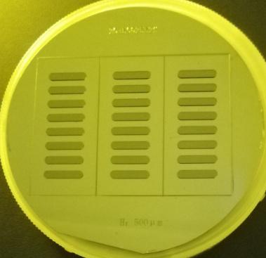 SU-8硅片模具介绍 (4).jpg