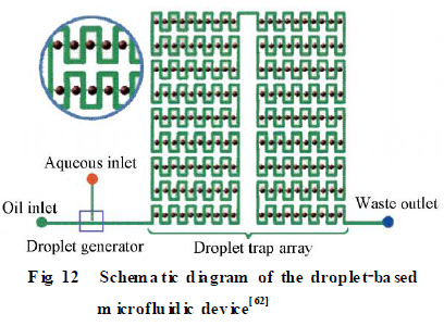 微流控芯片|通用实验室
