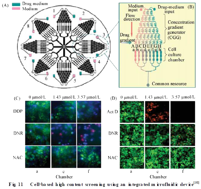 微流控芯片在模式生物水平化学研究技术