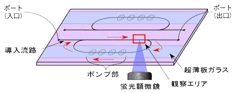 微流控芯片|微流控芯片批量加工